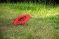 Hubei Enshi City lawn in a red umbrella